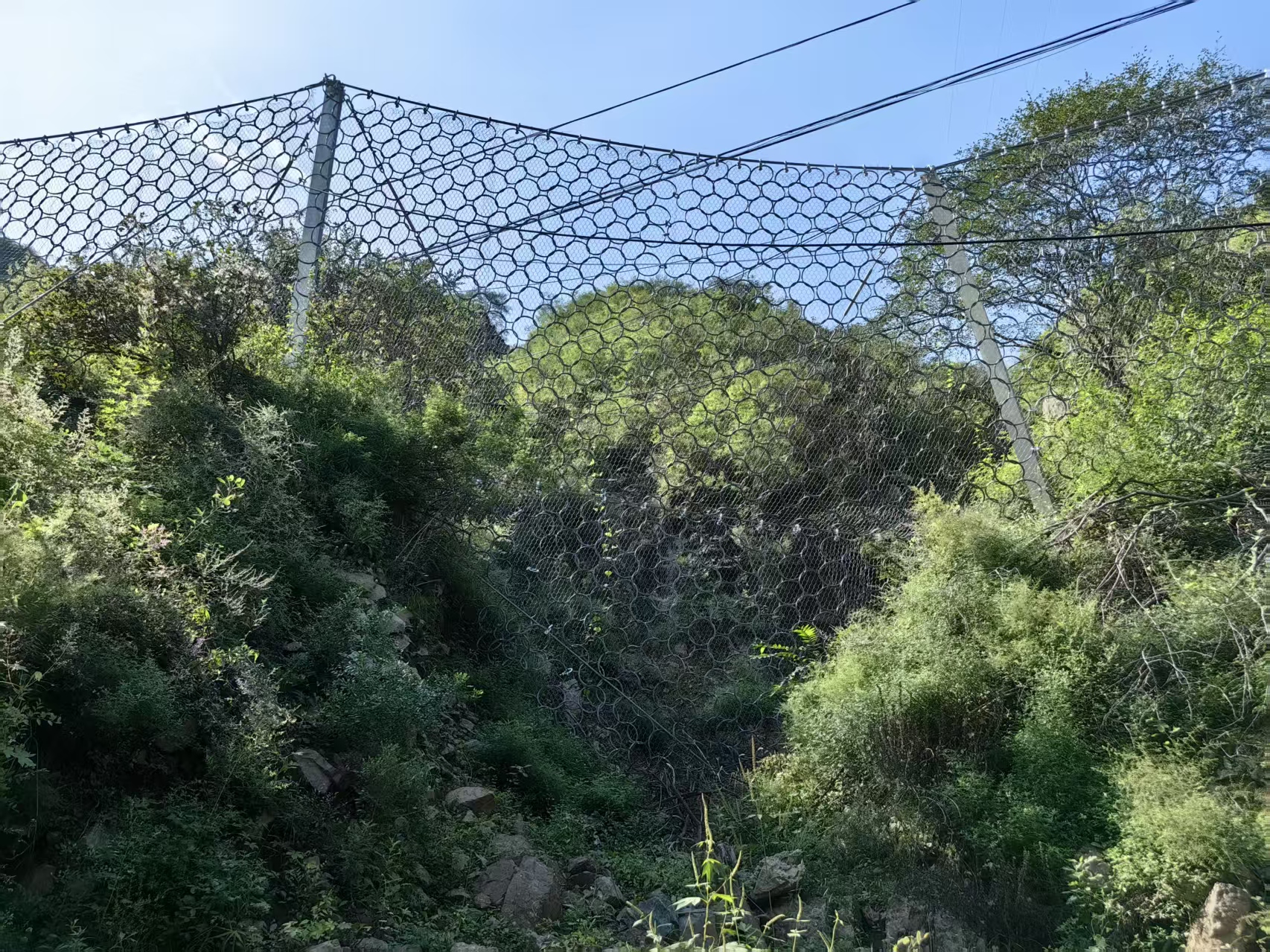 被动防护网